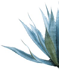 Espolòn Tequila