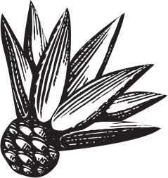 Espolòn Tequila